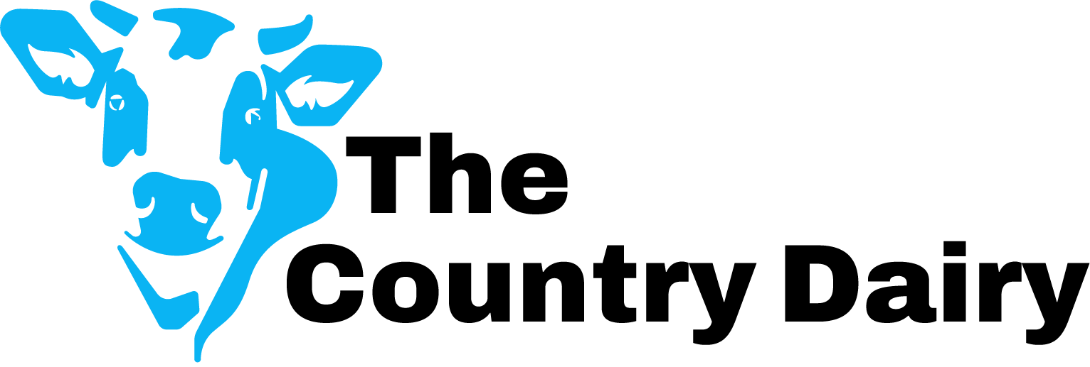 BaseApp Logo